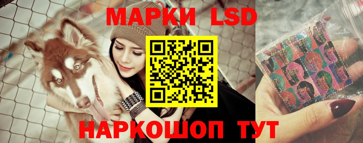 Чебоксары  ЛСД экстази ecstasy  Вход с VPN  ЛСД экстази кислота 
