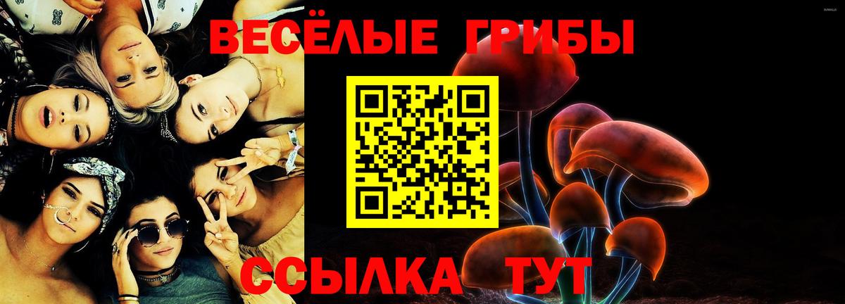 Чебоксары  Галлюциногенные грибы Cubensis  Галлюциногенные грибы мухоморы  Вход с VPN 